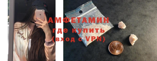 сатива Дмитриев
