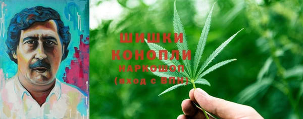сатива Дмитриев