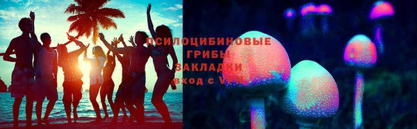 кокс Дмитров