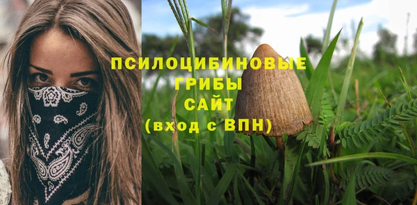 кокс Дмитров