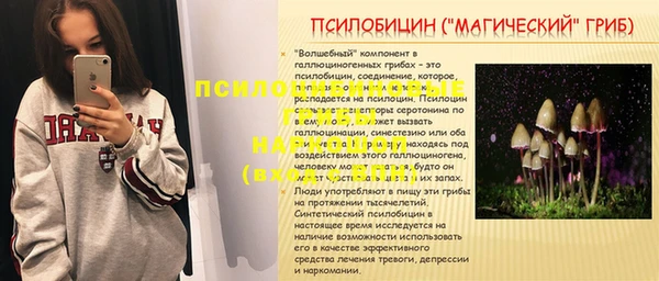 сатива Дмитриев