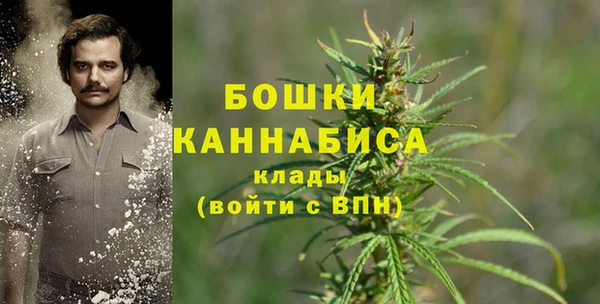 кокс Дмитров