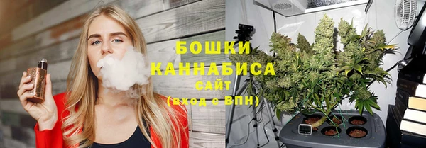 сатива Дмитриев