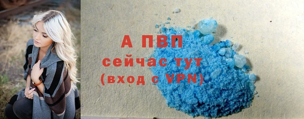 сатива Дмитриев