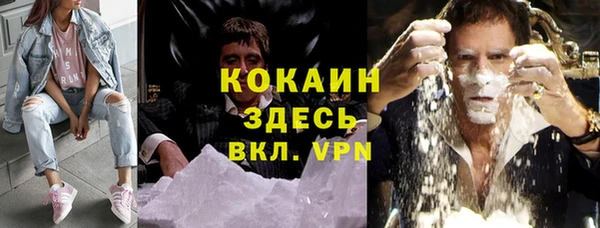 сатива Дмитриев